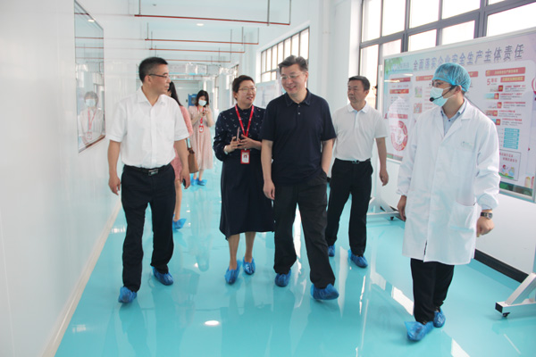 合肥市新站高新区党工委书记、管委会主任路军一行莅临bw必威西汉姆联官方网站调研