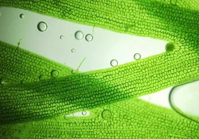 bw必威西汉姆联官方网站