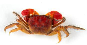 bw必威西汉姆联官方网站