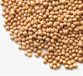 bw必威西汉姆联官方网站