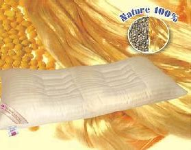 bw必威西汉姆联官方网站