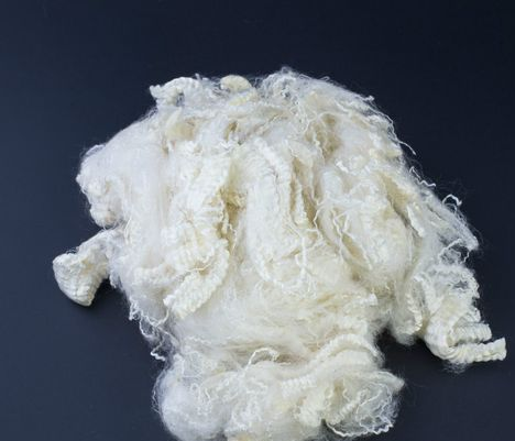 bw必威西汉姆联官方网站