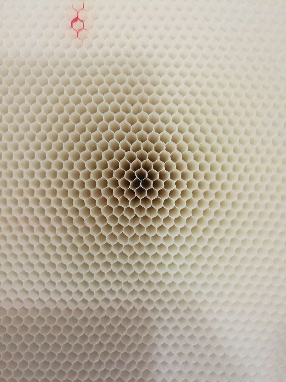 bw必威西汉姆联官方网站