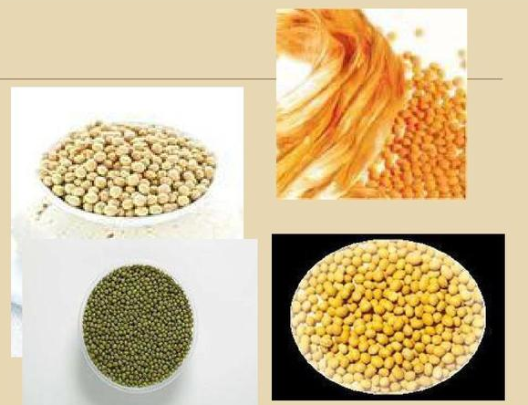 bw必威西汉姆联官方网站