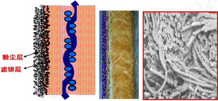 bw必威西汉姆联官方网站