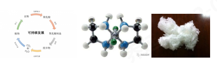bw必威西汉姆联官方网站