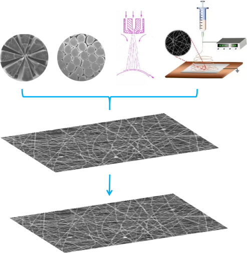 bw必威西汉姆联官方网站