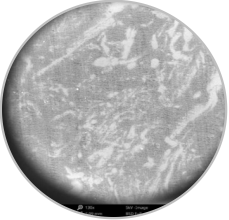 bw必威西汉姆联官方网站