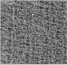 bw必威西汉姆联官方网站