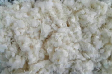 bw必威西汉姆联官方网站