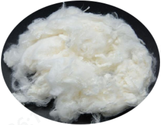 bw必威西汉姆联官方网站