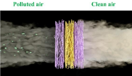 bw必威西汉姆联官方网站
